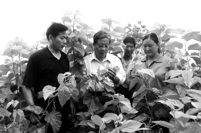 ��a������������ڞ�ɣ�r(n��ng)�v�ں�ɣ�Nֲ���g(sh��)���߷�