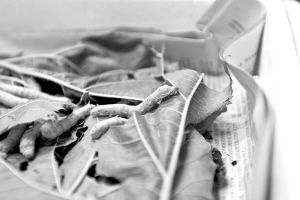 �Q������