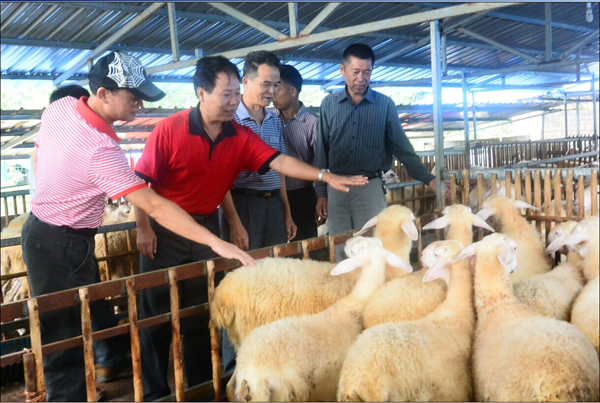 �I(l��ng)��(d��o)ҕ����Ⱥ