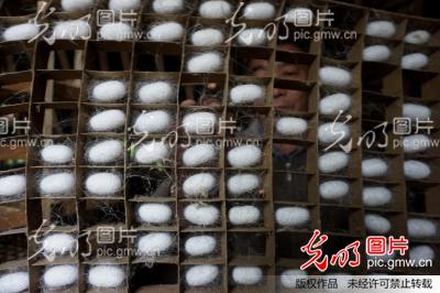 �Ĵ���(n��i)�����O����