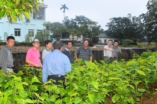 �z�I�f(xi��)���M�F(tu��n)����