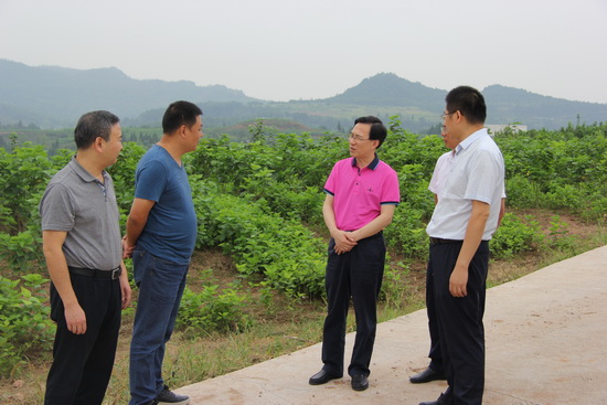 1 012_�{(di��o)����С.jpg