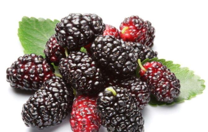 QQ�؈D20190416111147