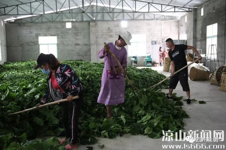 ��ф���ɣ�~