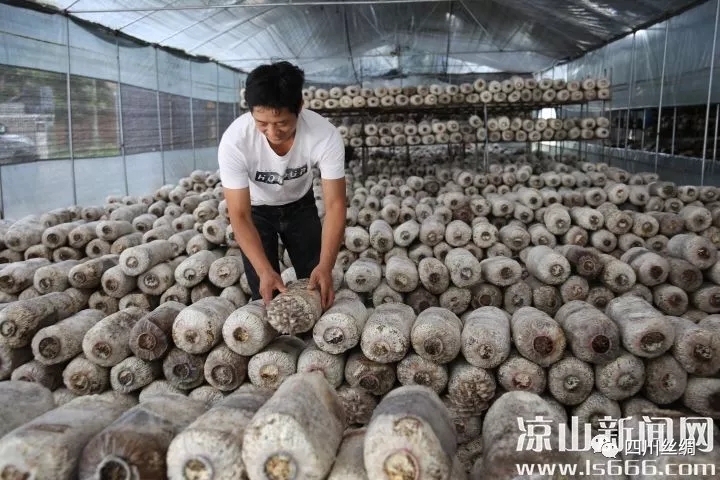 ��־���z��ɣ֦ʳ�þ� (2)