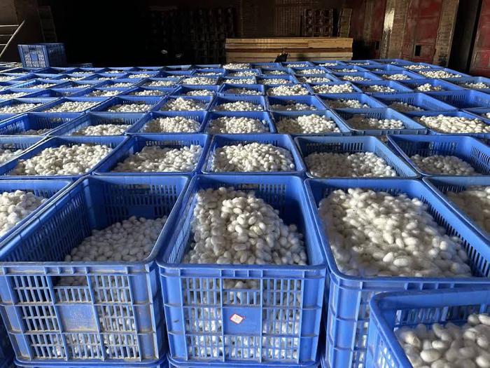 w700d1q75cms (1).jpg