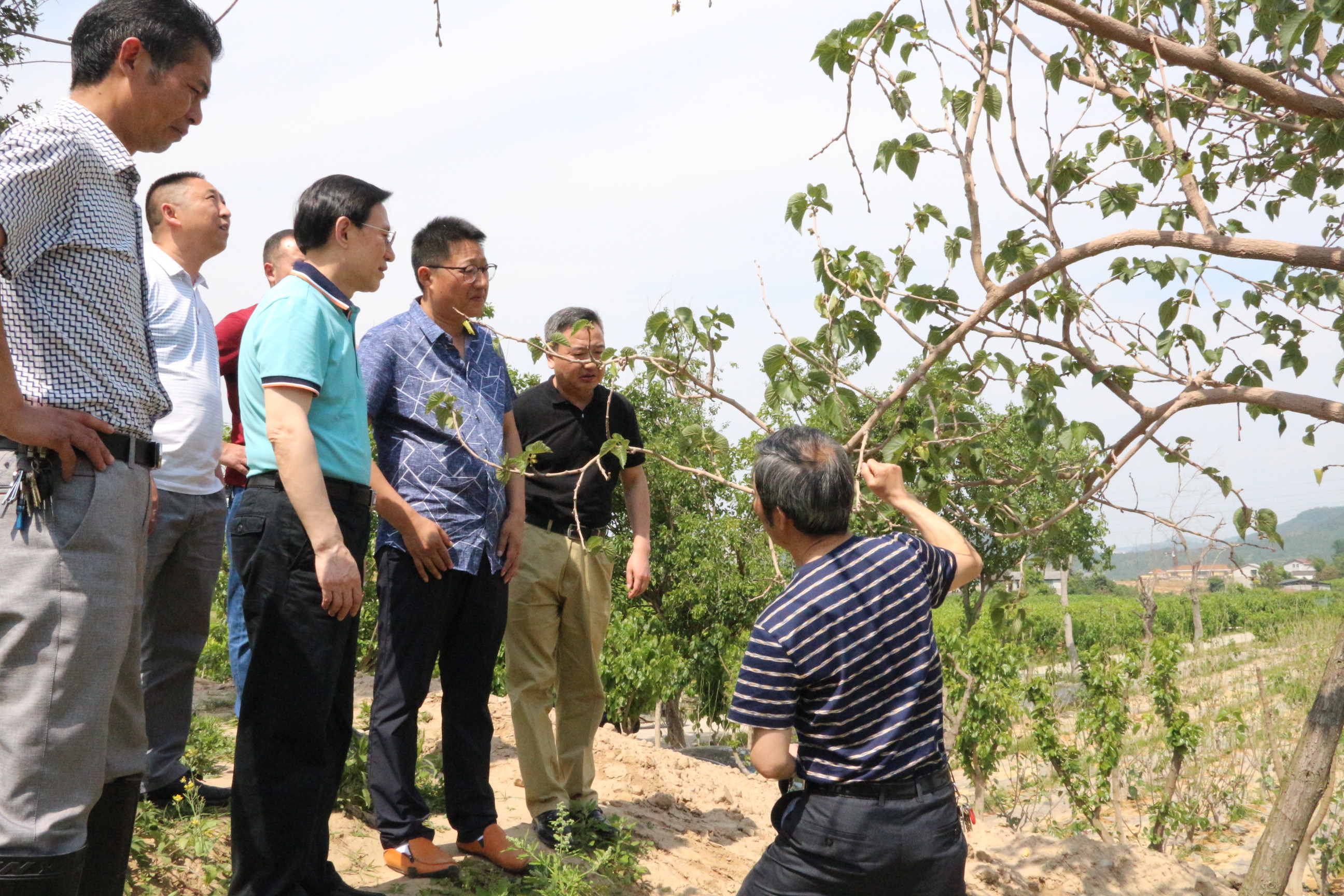 ����Q�N������ɣ�� (25).JPG